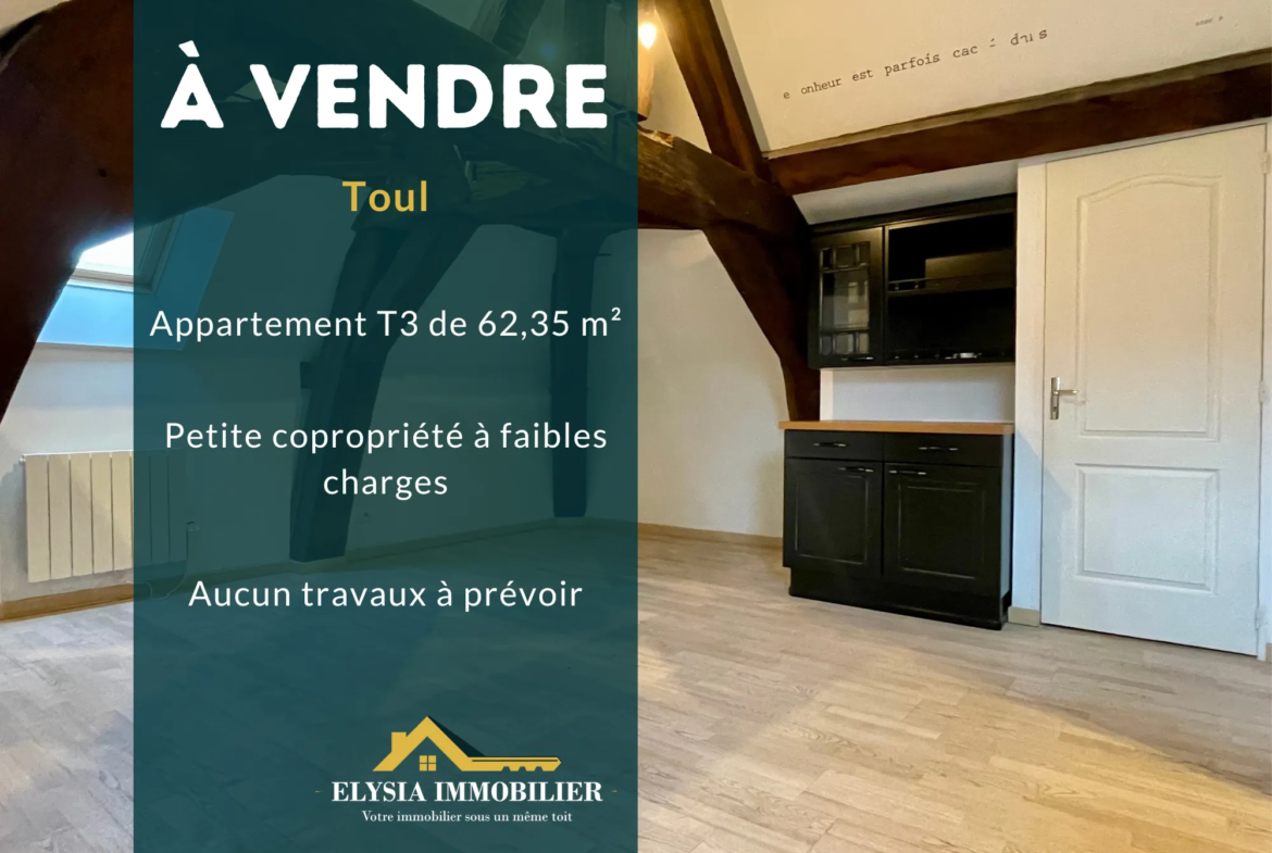 Appartement chaleureux de 3 pièces à vendre à Toul – 62,35 m² 