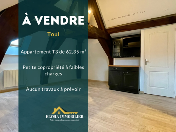 Appartement chaleureux de 3 pièces à vendre à Toul – 62,35 m²