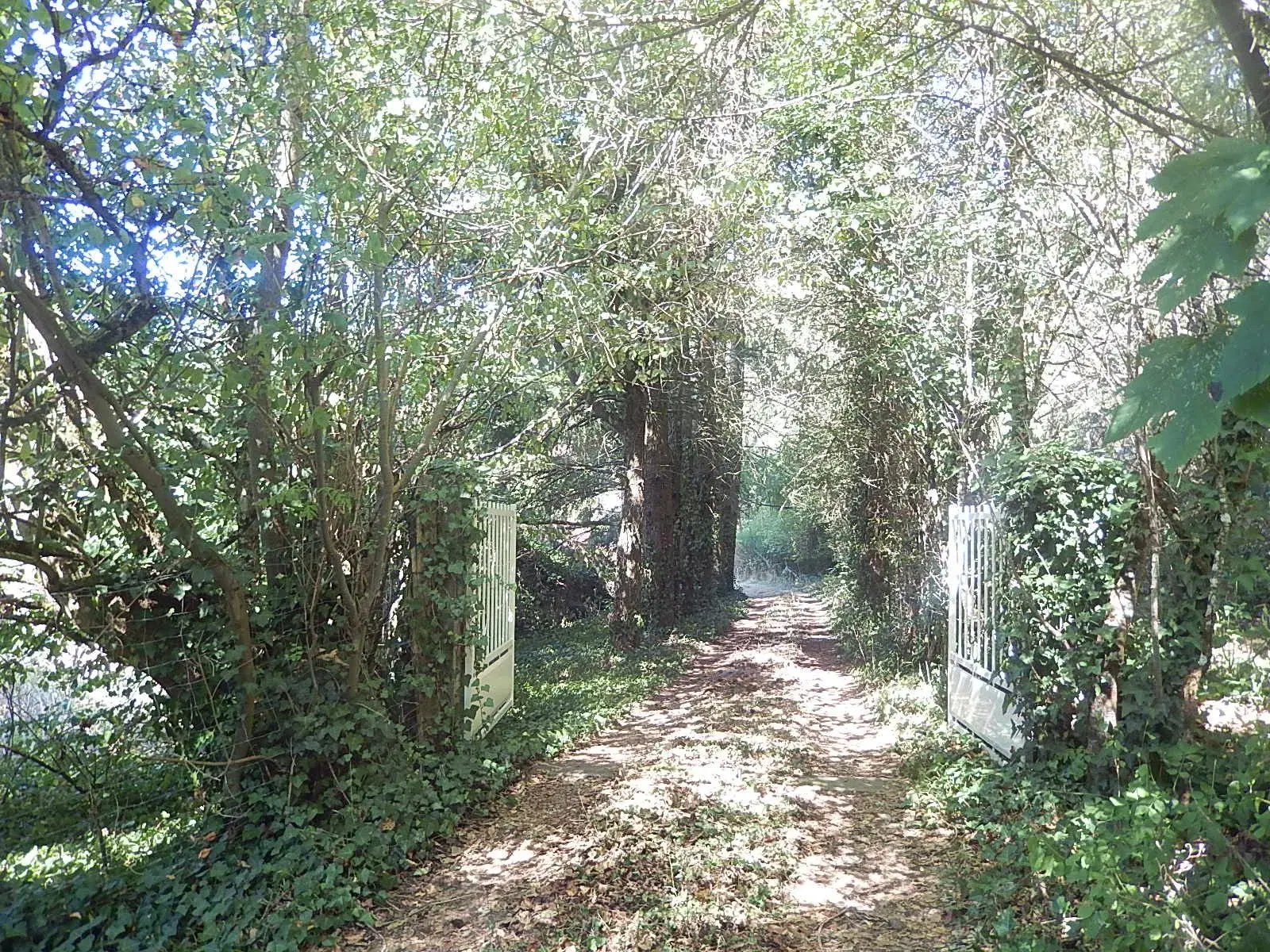 Maison spacieuse à Loddes, isolée avec grange sur 4888m² 