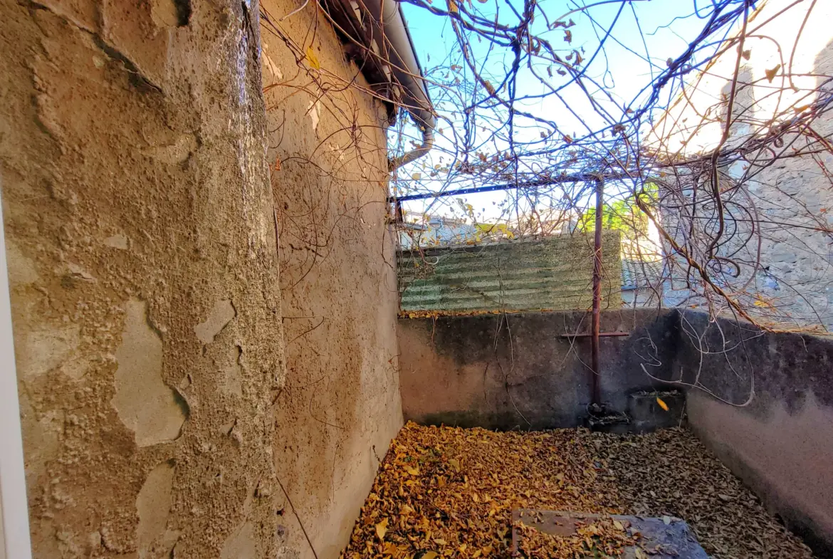 Maison à rénover avec terrasse et garage à Capendu 