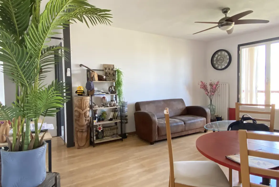 À vendre : Appartement T2 avec belle vue à Perpignan Centre 