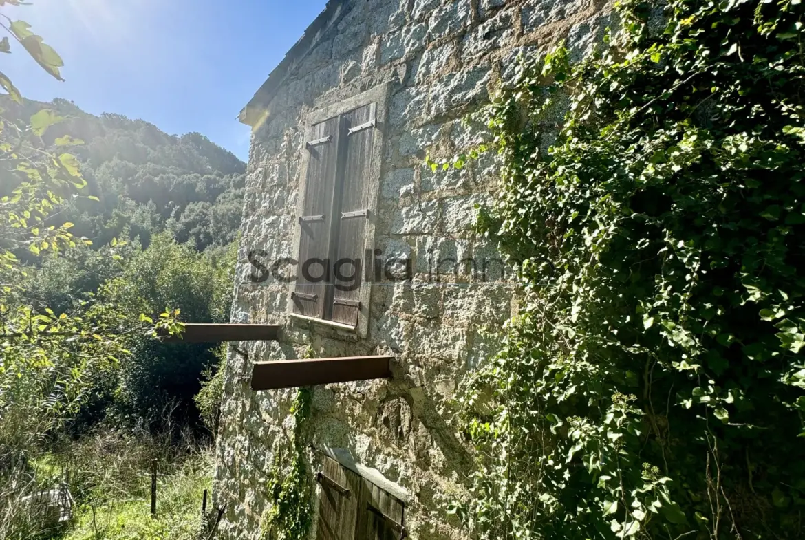 Charmante maison à rénover à Sartène - 20100 