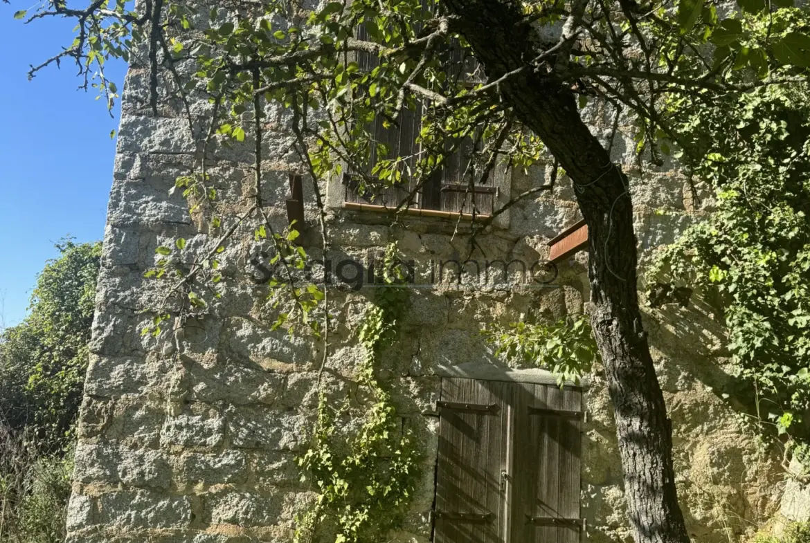 Charmante maison à rénover à Sartène - 20100 