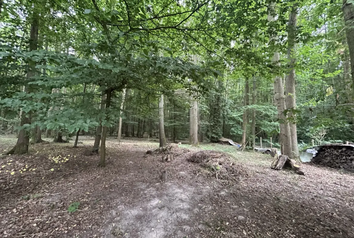 16 Parcelles de Bois à Souzy-la-Briche et Villeconin à Vendre 