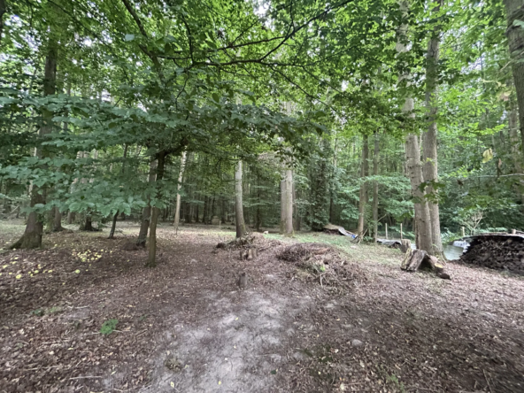 16 Parcelles de Bois à Souzy-la-Briche et Villeconin à Vendre