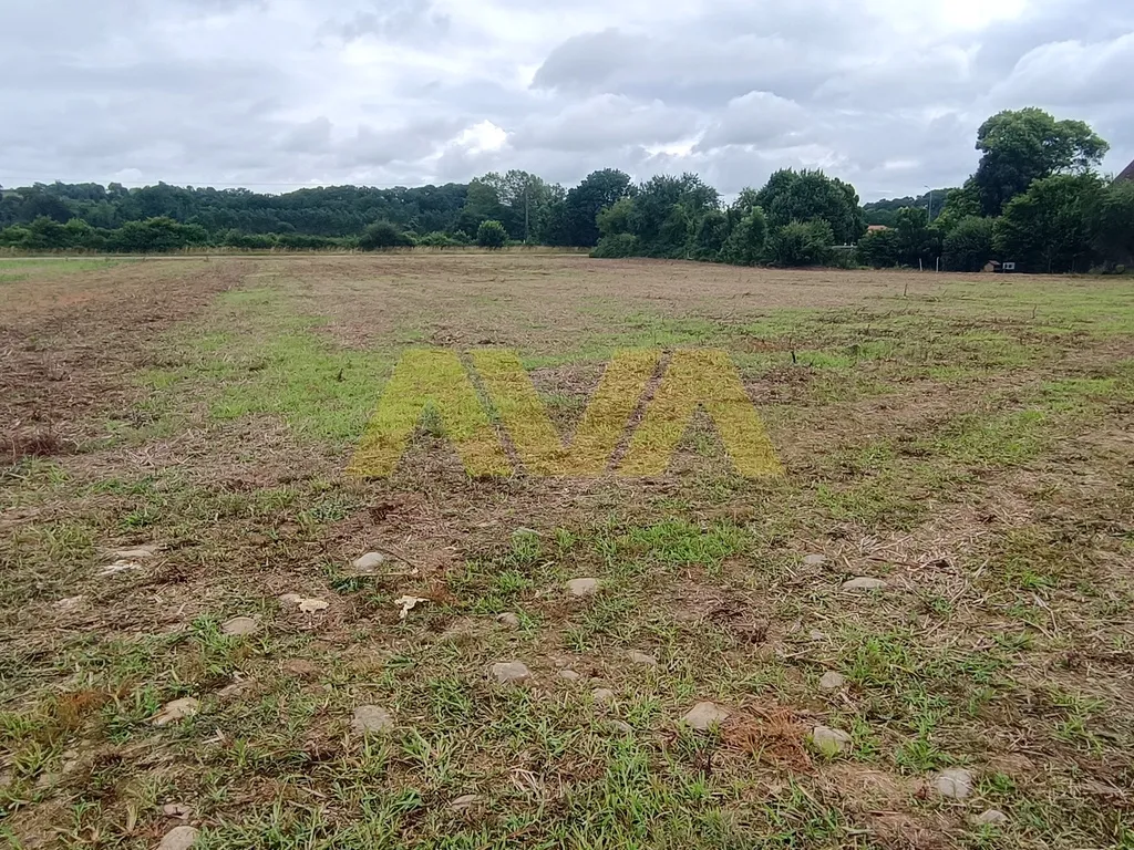 Terrain constructible de 1310 m² à Tabaille-Usquain 