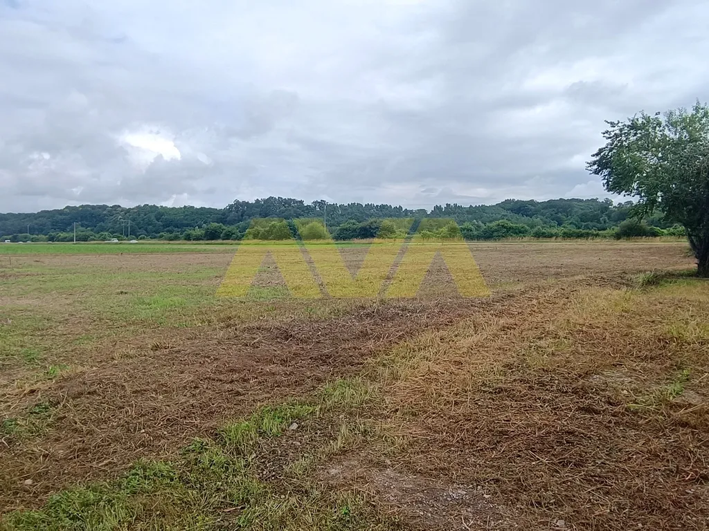 Terrain constructible de 1310 m² à Tabaille-Usquain 