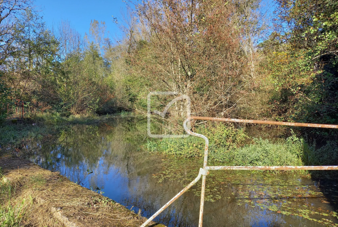 Propriété Atypique avec Moulin à Carsac Aillac 