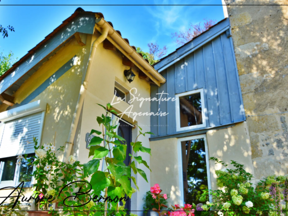 Maison en Pierre avec Jardin à Vendre à Nérac