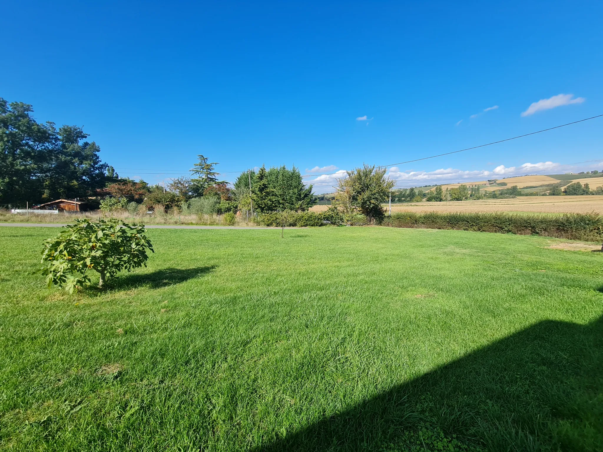 Vente terrain constructible de 799 m² à Saint-Sulpice-sur-Lèze 