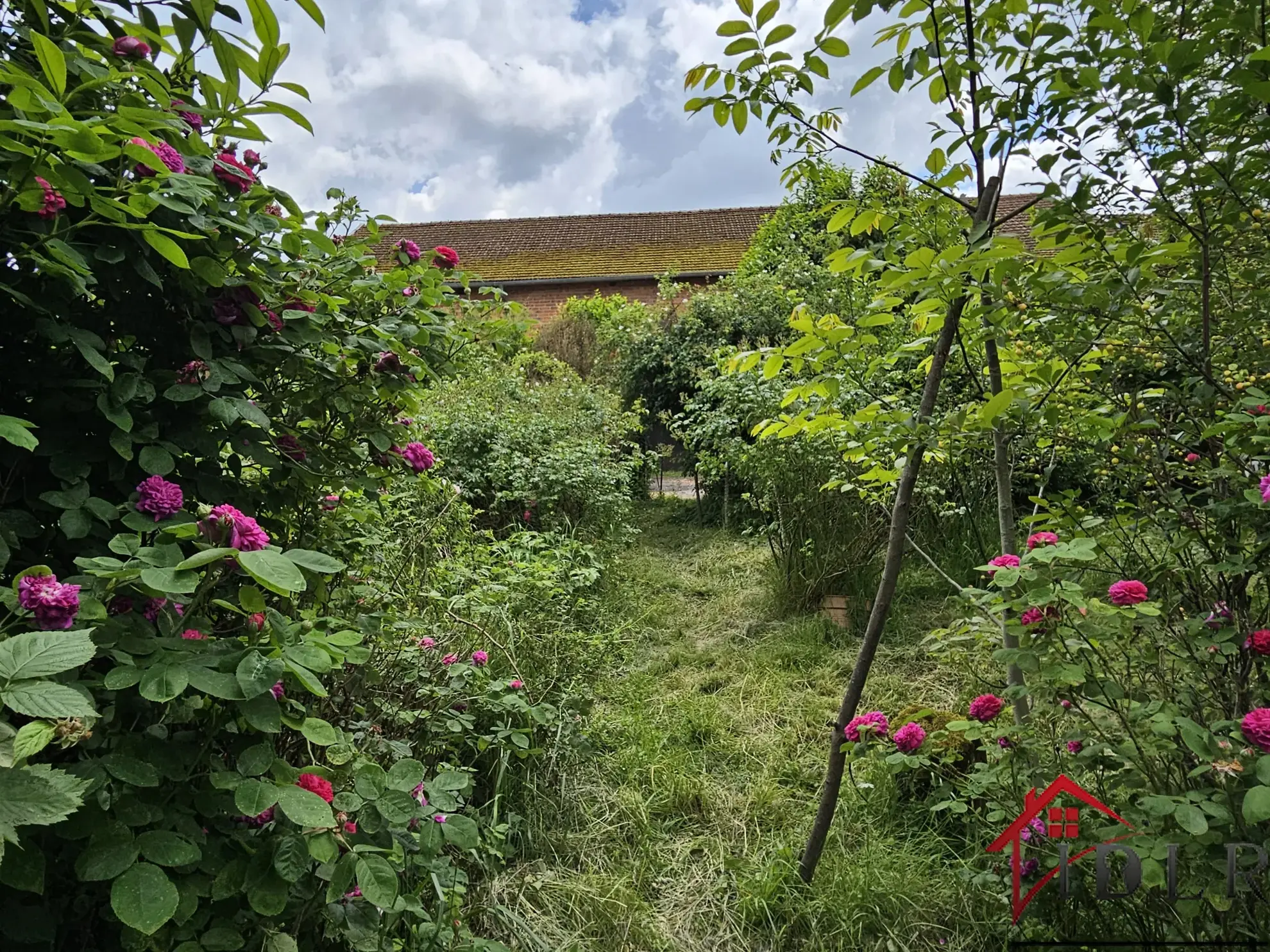 Corps de ferme à vendre à Heiltz-le-Maurupt - 162 m² 