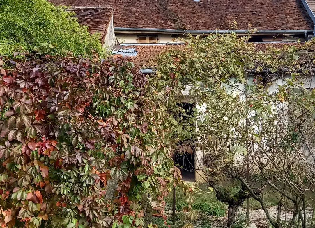 Maison mitoyenne à rénover à Pannessières avec terrain 