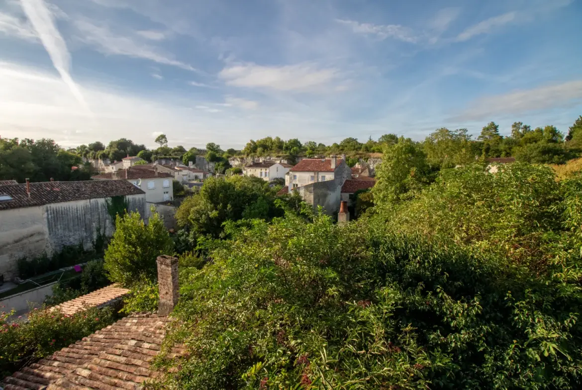 MAISON DE CARACTÈRE À SAINT-SAVINIEN - 8 CHAMBRES, JARDIN 800 M2 