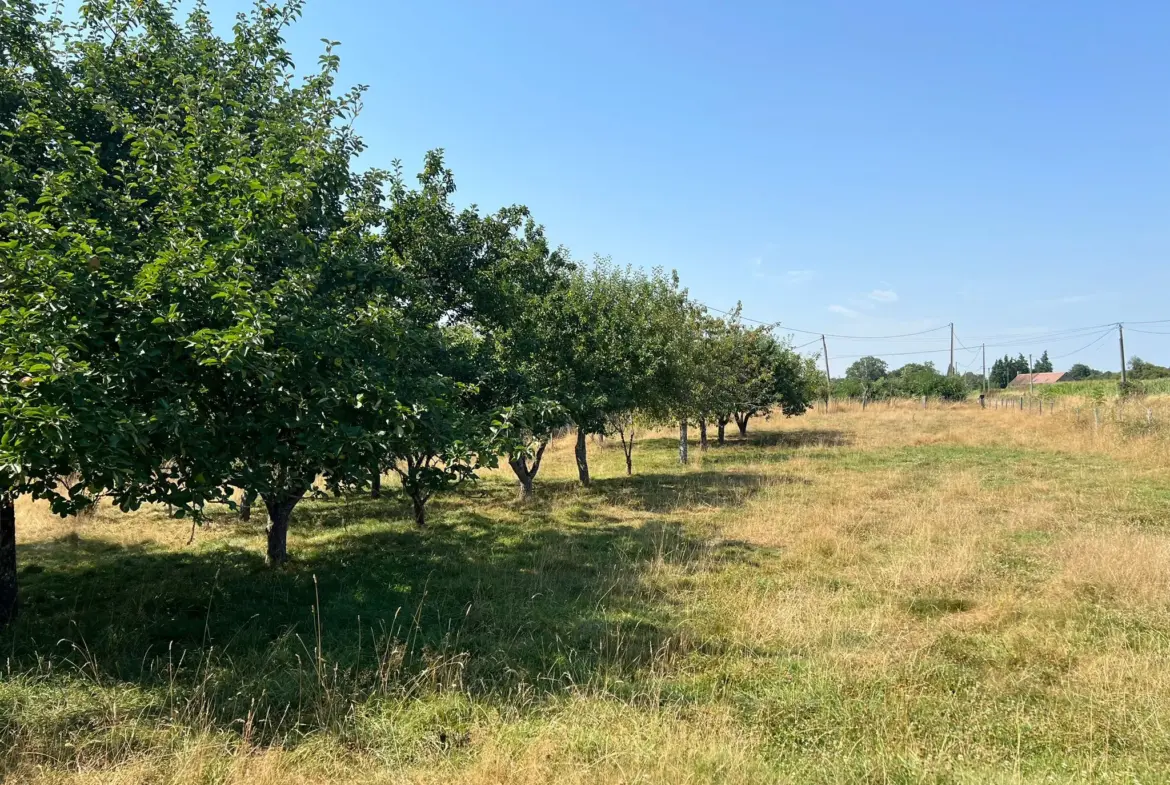 Maison à vendre de 87 m2 à Saint Pierre des Nids 