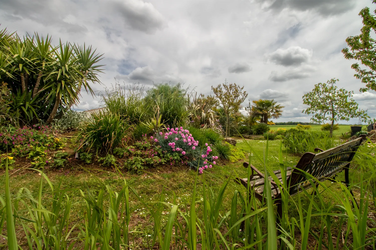 Maison contemporaine à Champdolent avec jardin paysager 