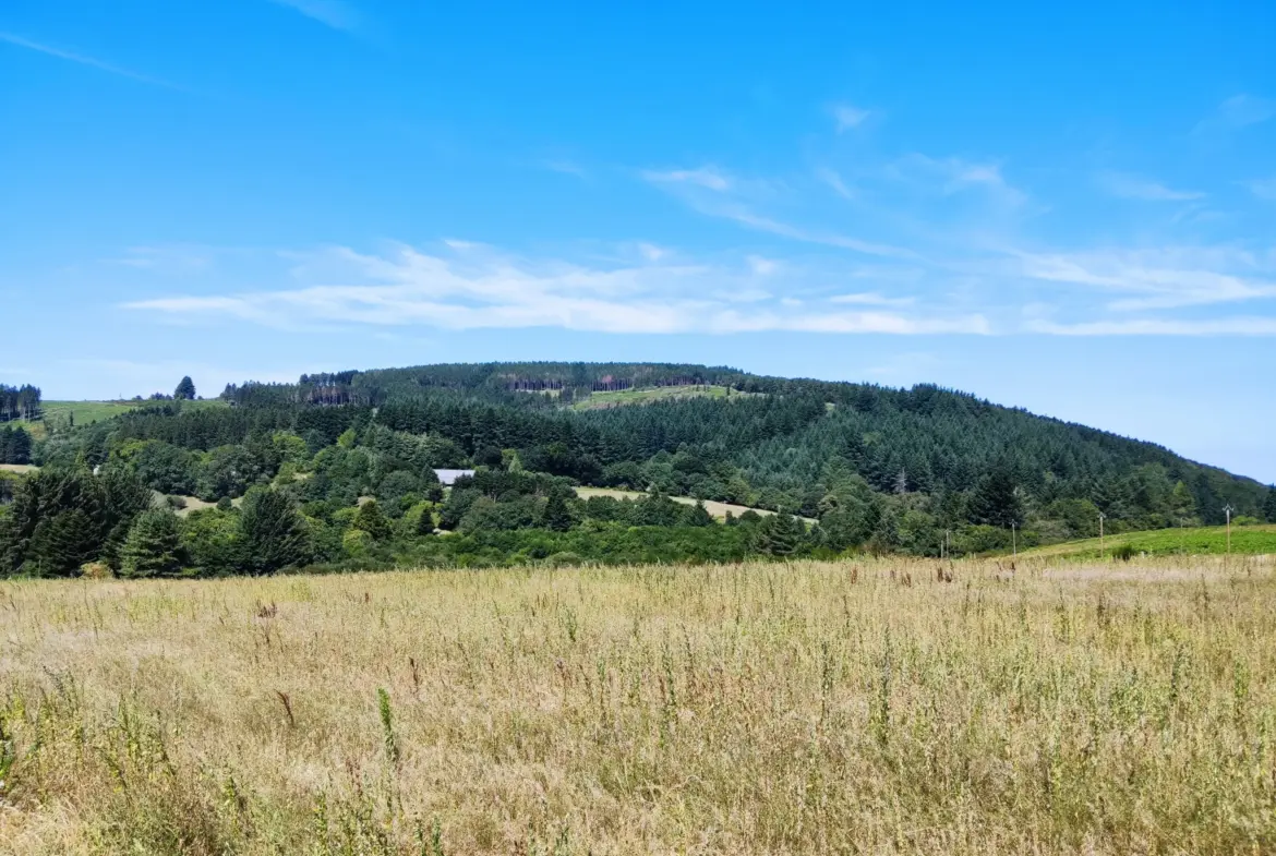 Chalet avec Dépendances à Pradelles-Cabardes 