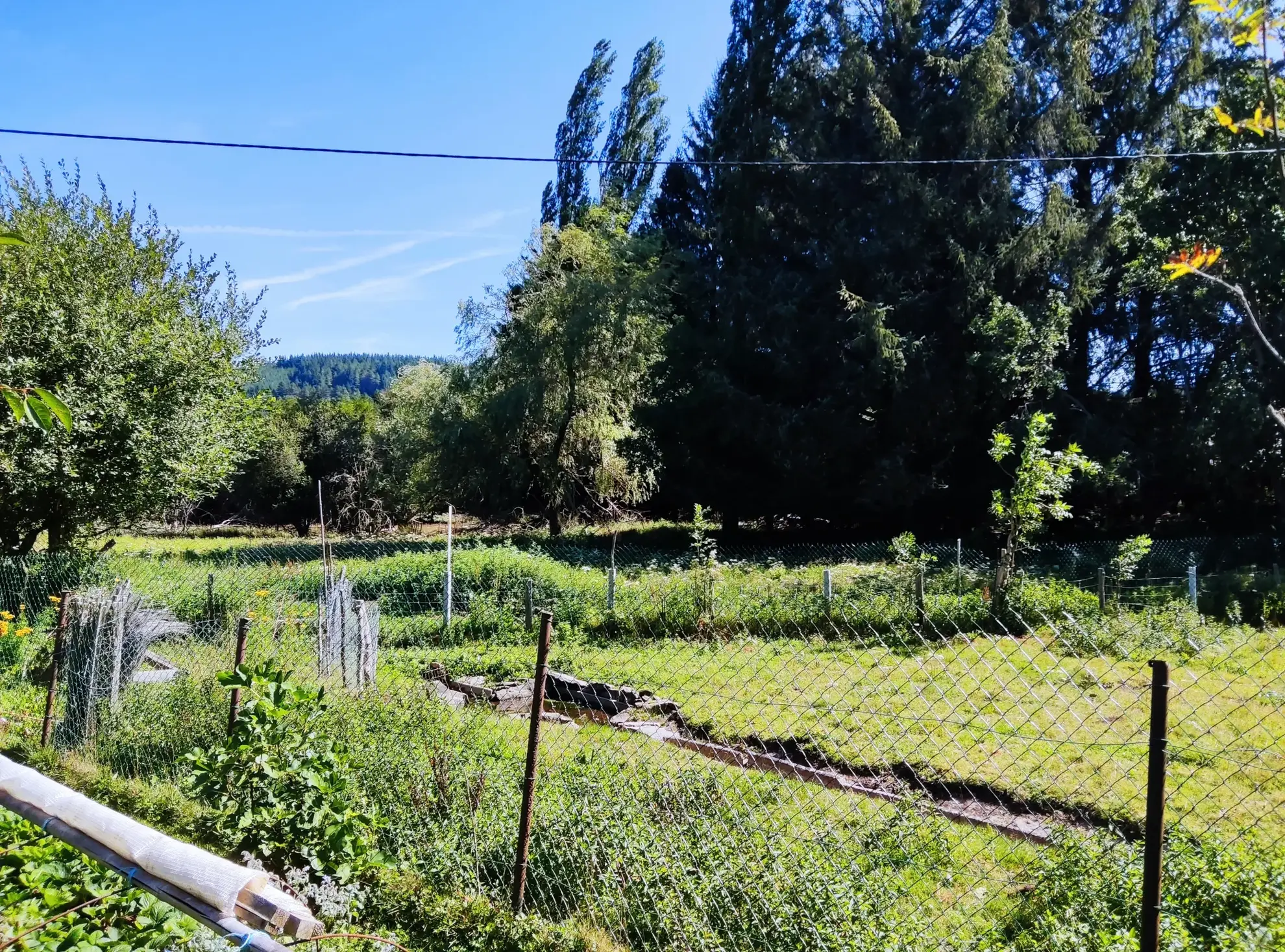 Chalet avec Dépendances à Pradelles-Cabardes 