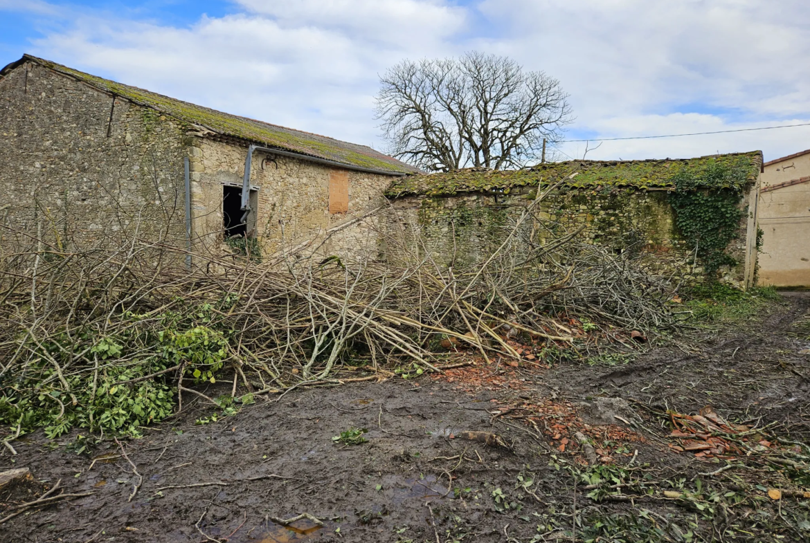 Corps de Ferme à Rénover à CUQ 