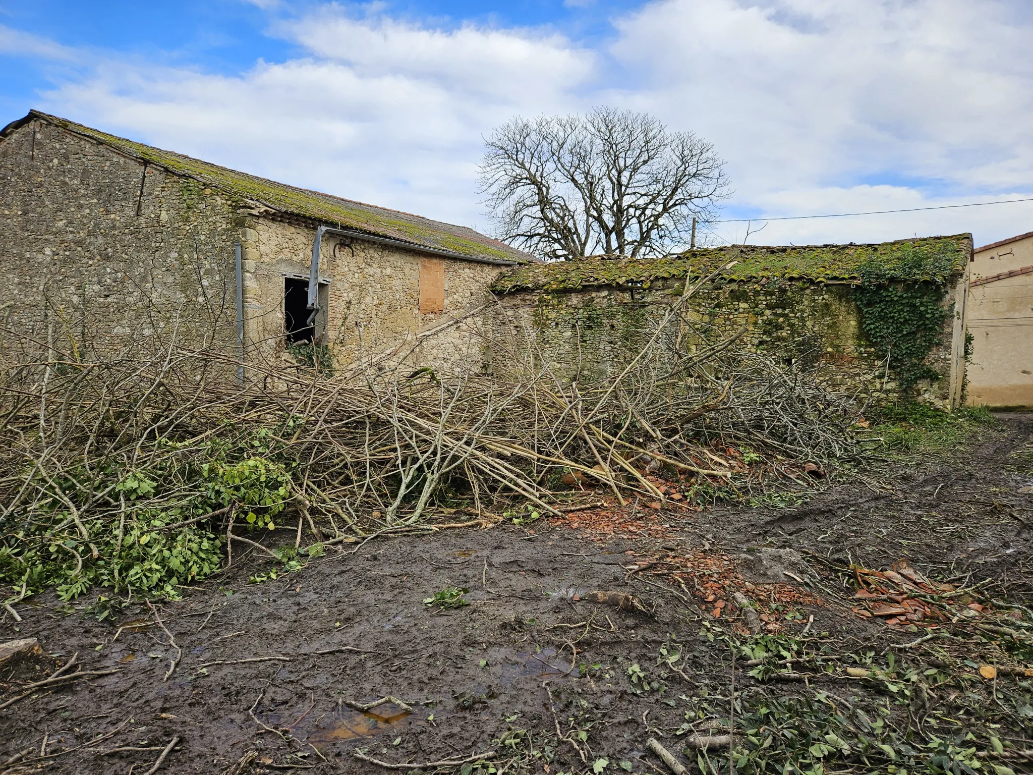 Corps de Ferme à Rénover à CUQ 