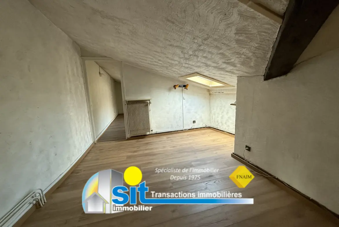 Appartement en duplex à Vienne Centre - 111 m² avec vue dégagée 