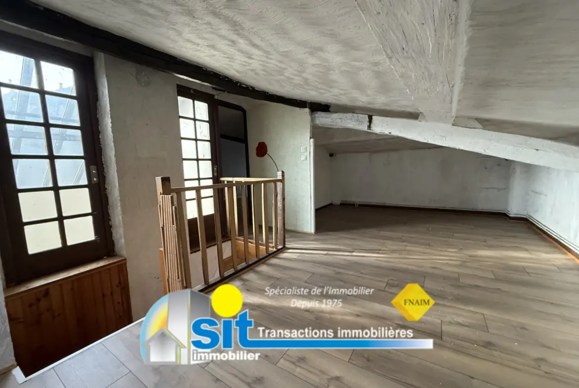 Appartement en duplex à Vienne Centre - 111 m² avec vue dégagée 