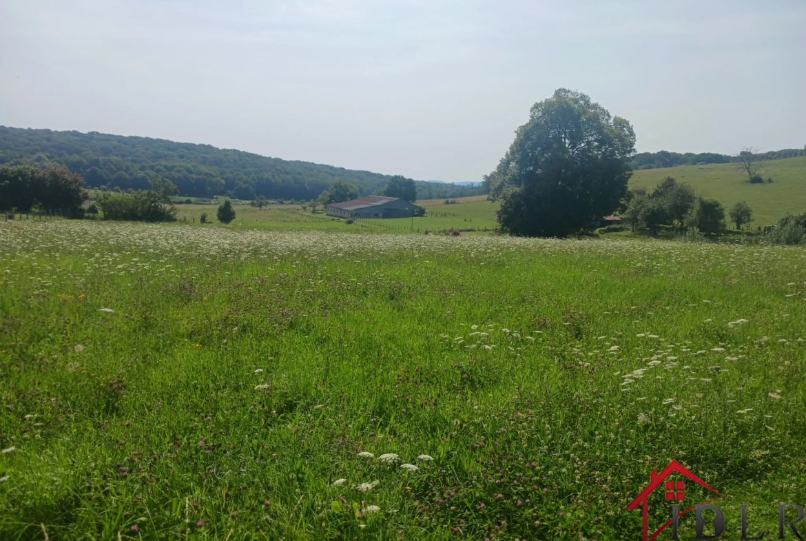 Maison indépendante à vendre à Saint-Rémy-en-Comté - 129m² 