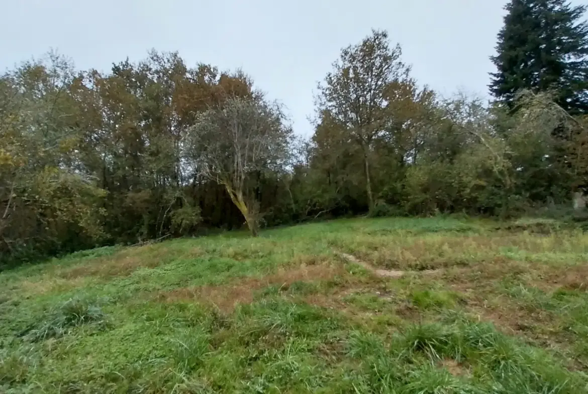 Terrain à bâtir de 3600 m² avec projet de construction en bois 