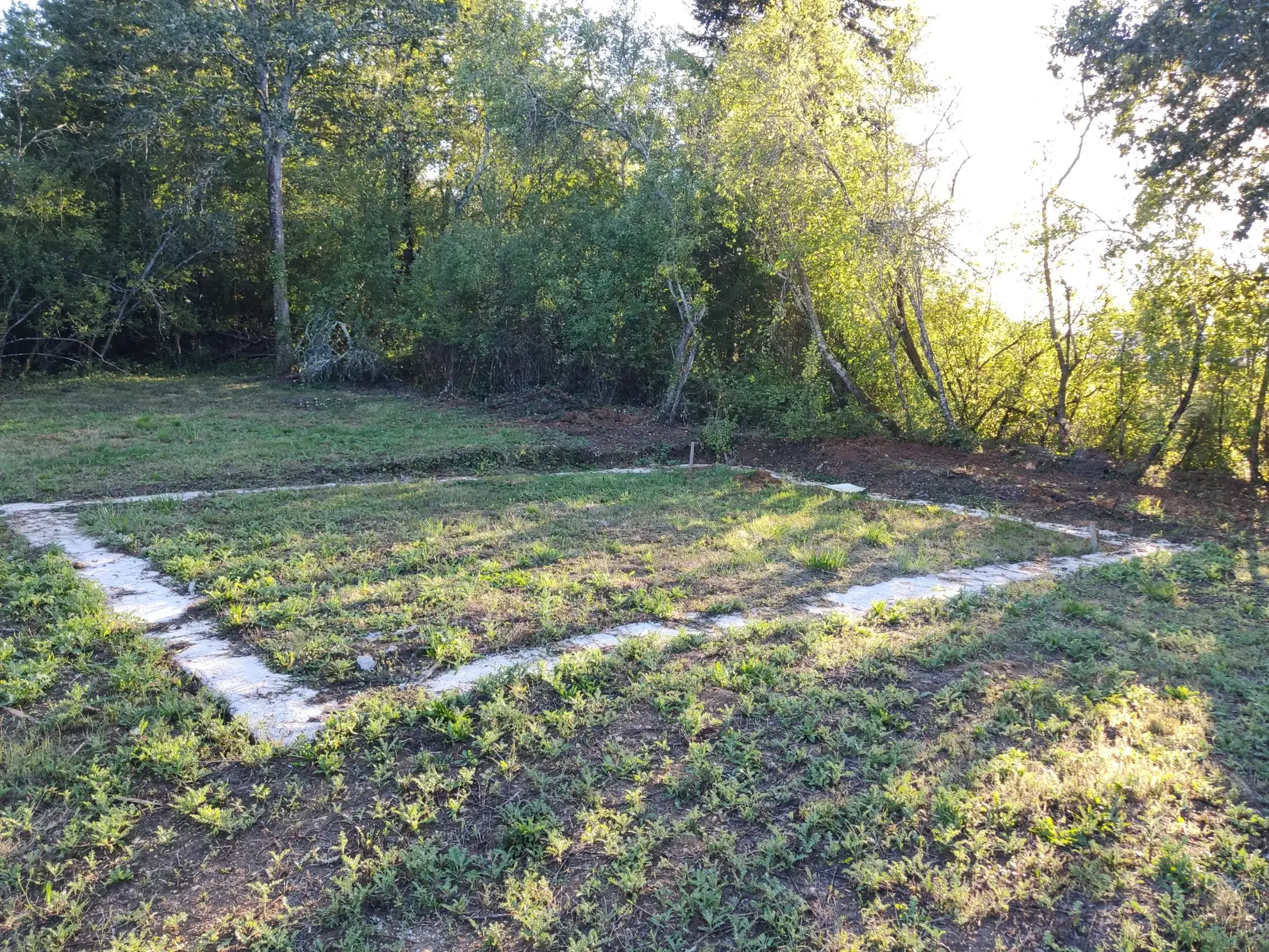 Terrain à bâtir de 3600 m² avec projet de construction en bois 