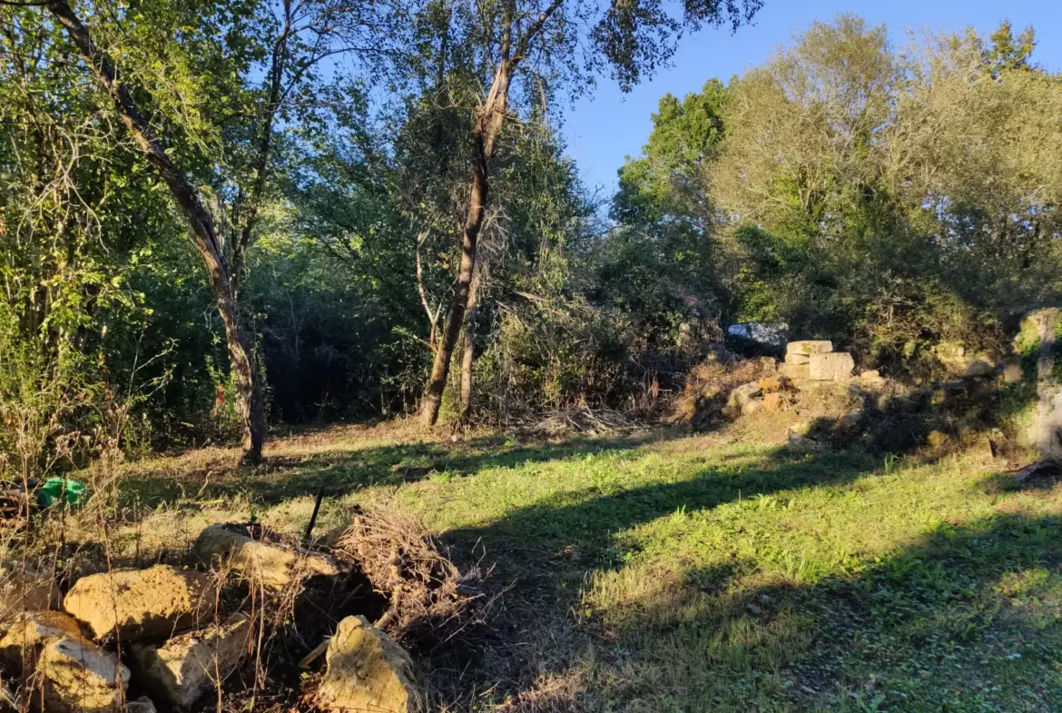 Terrain à bâtir de 3600 m² avec projet de construction en bois 