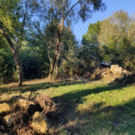 Terrain à bâtir de 3662 m2 pour maison en bois à Brantôme