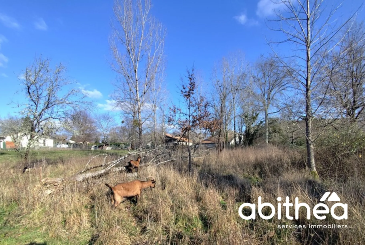 Terrain à bâtir libre de constructeur, 5055 m² à Saint-Ciers-d’Abzac 