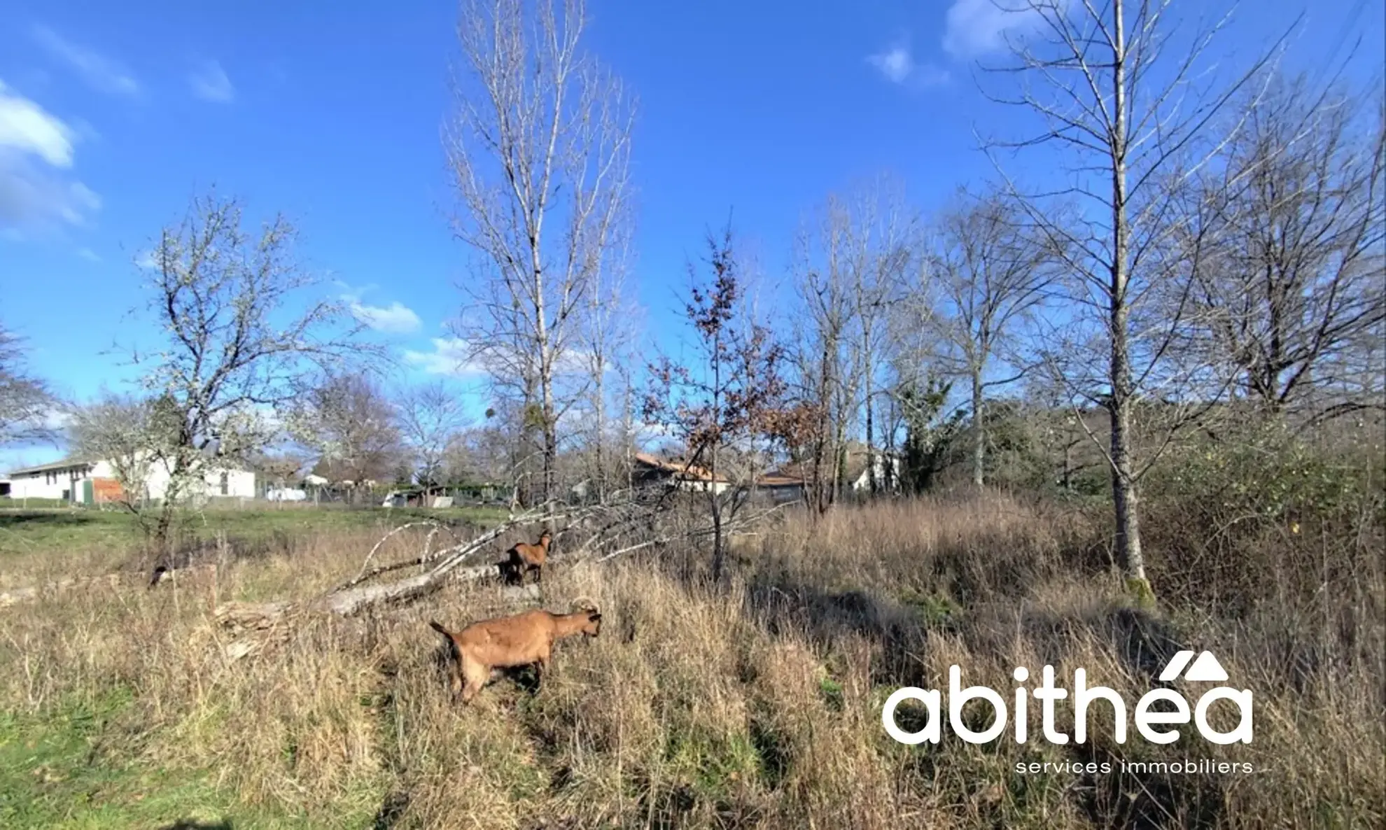 Terrain à bâtir libre de constructeur, 5055 m² à Saint-Ciers-d’Abzac 