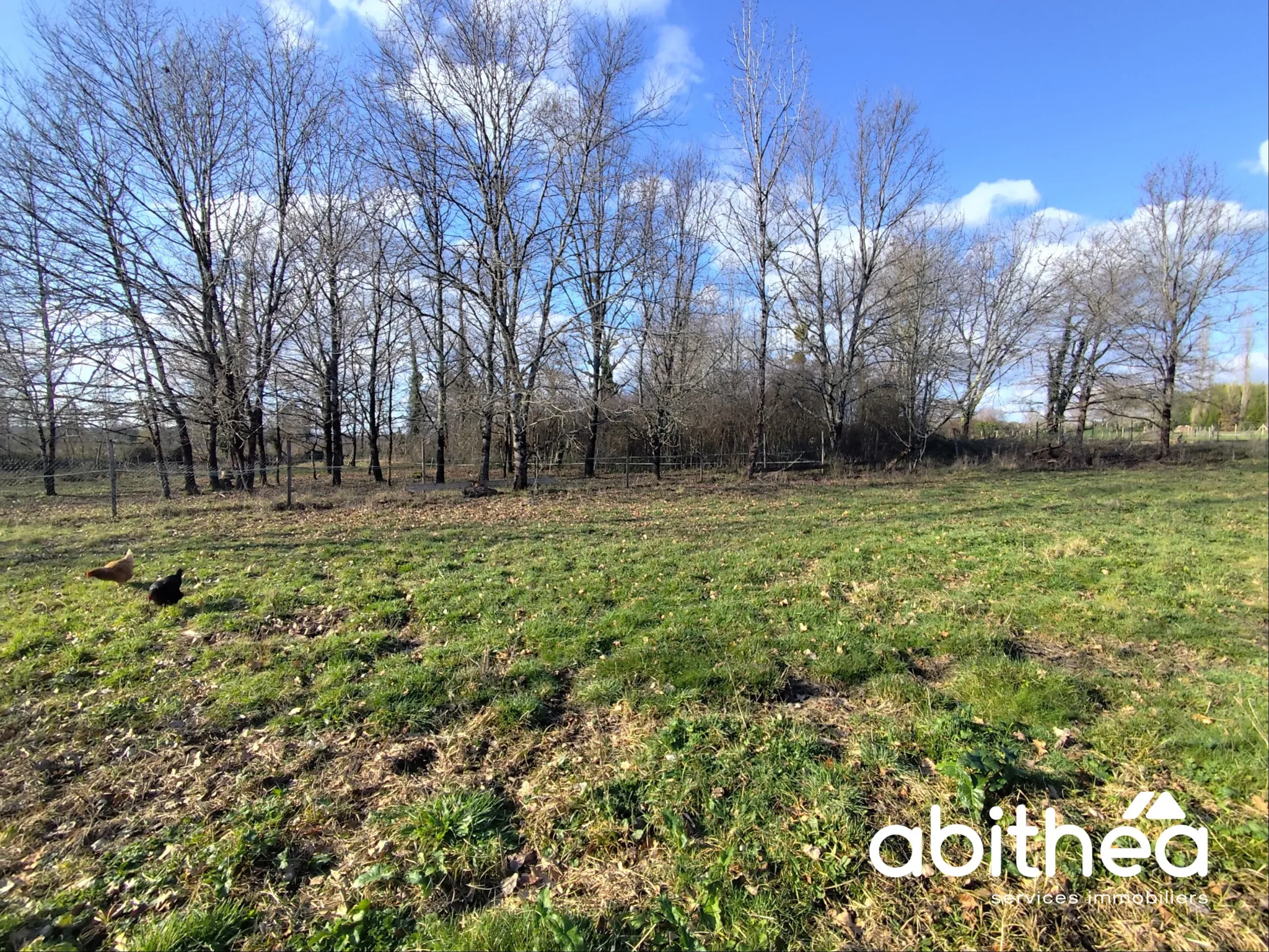 Terrain à bâtir libre de constructeur, 5055 m² à Saint-Ciers-d’Abzac 