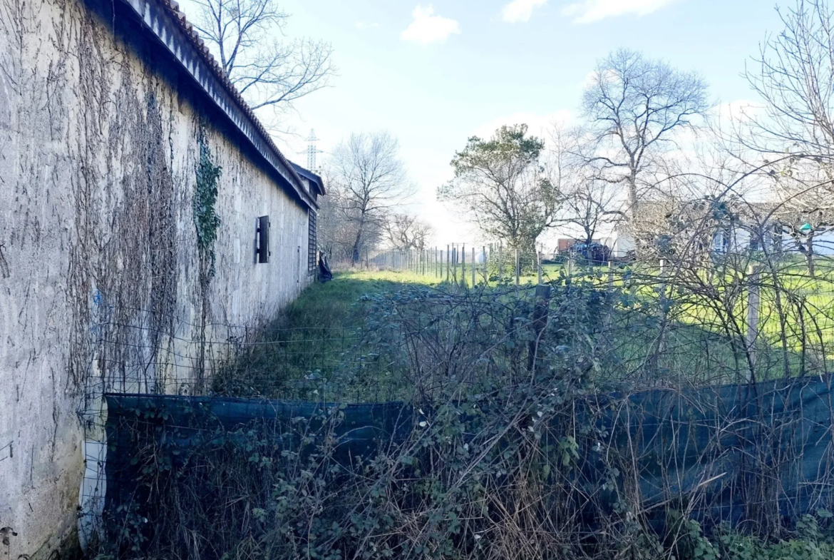 Terrain à bâtir libre de constructeur, 5055 m² à Saint-Ciers-d’Abzac 