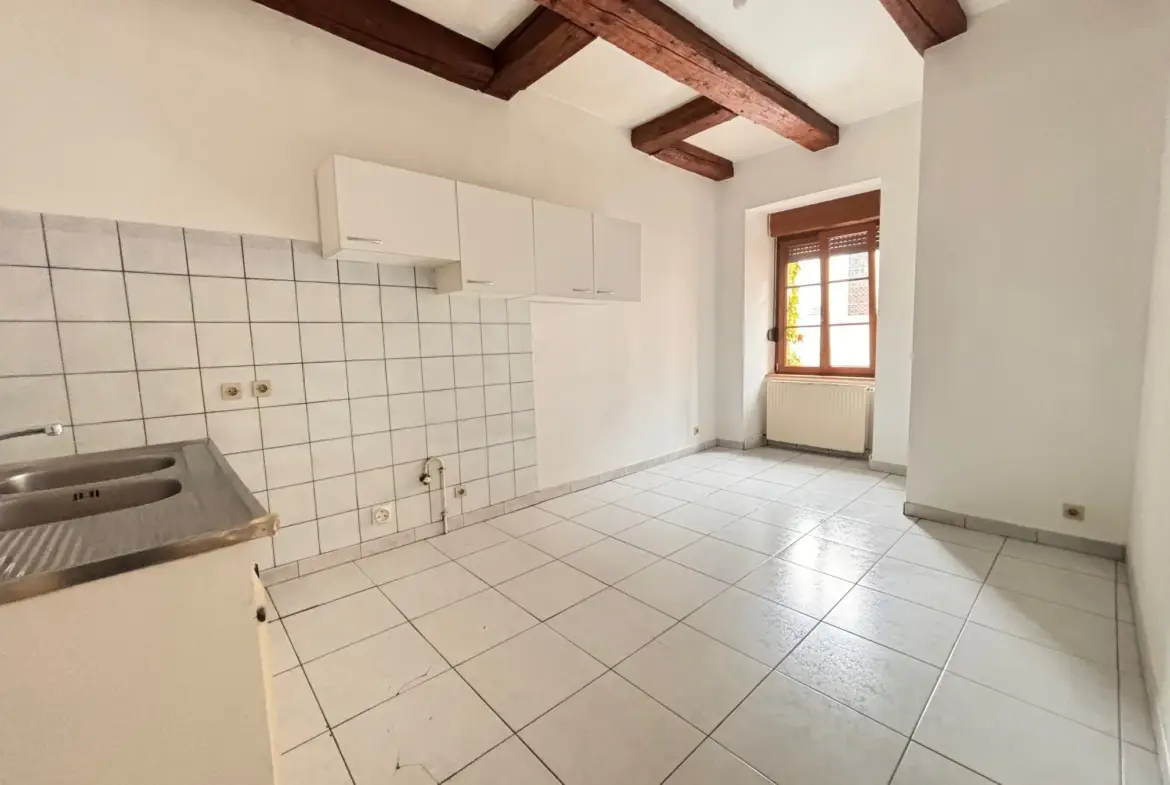 À vendre : Joli T2 44 m² en plein centre de Delle 