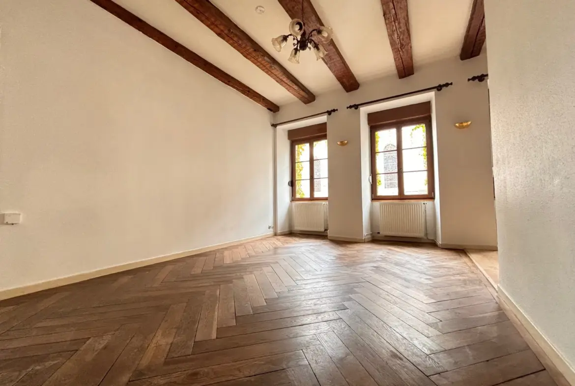 À vendre : Joli T2 44 m² en plein centre de Delle 