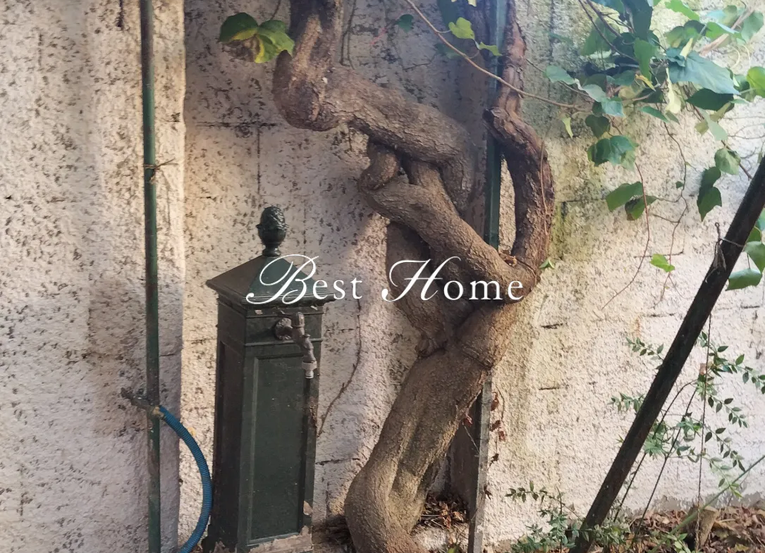 EXCLUSIVITÉ - Charmante Maison de Ville des Années 30 à Nîmes 