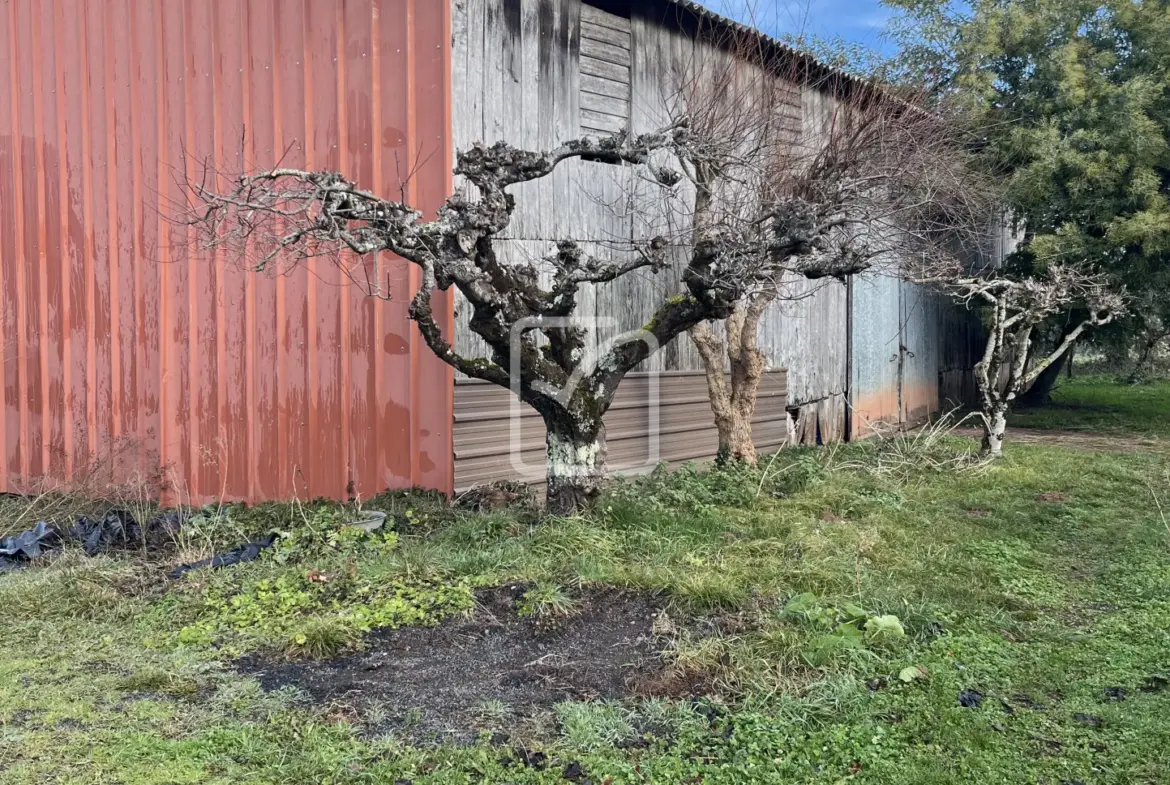 Corps de Ferme avec 6 pièces à Saint-Robert 