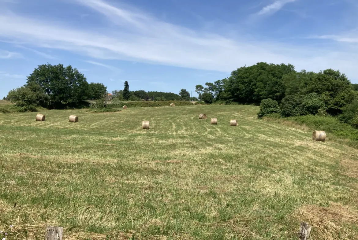 Charmante maison à Bazas - 109 m² avec garage 