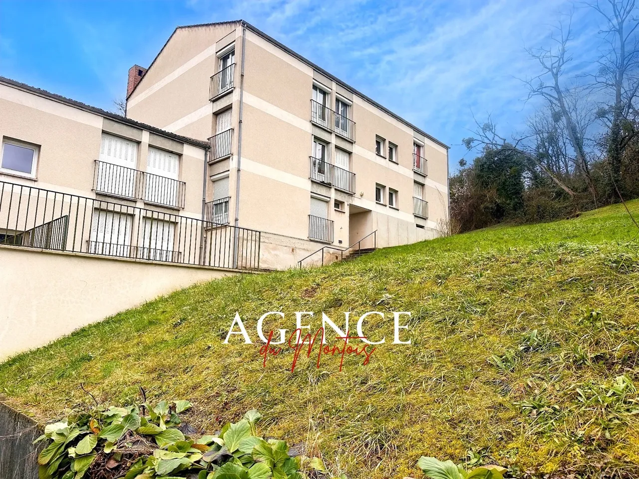 Appartement 3 chambres à vendre à Provins - Vue sur la Tour César 