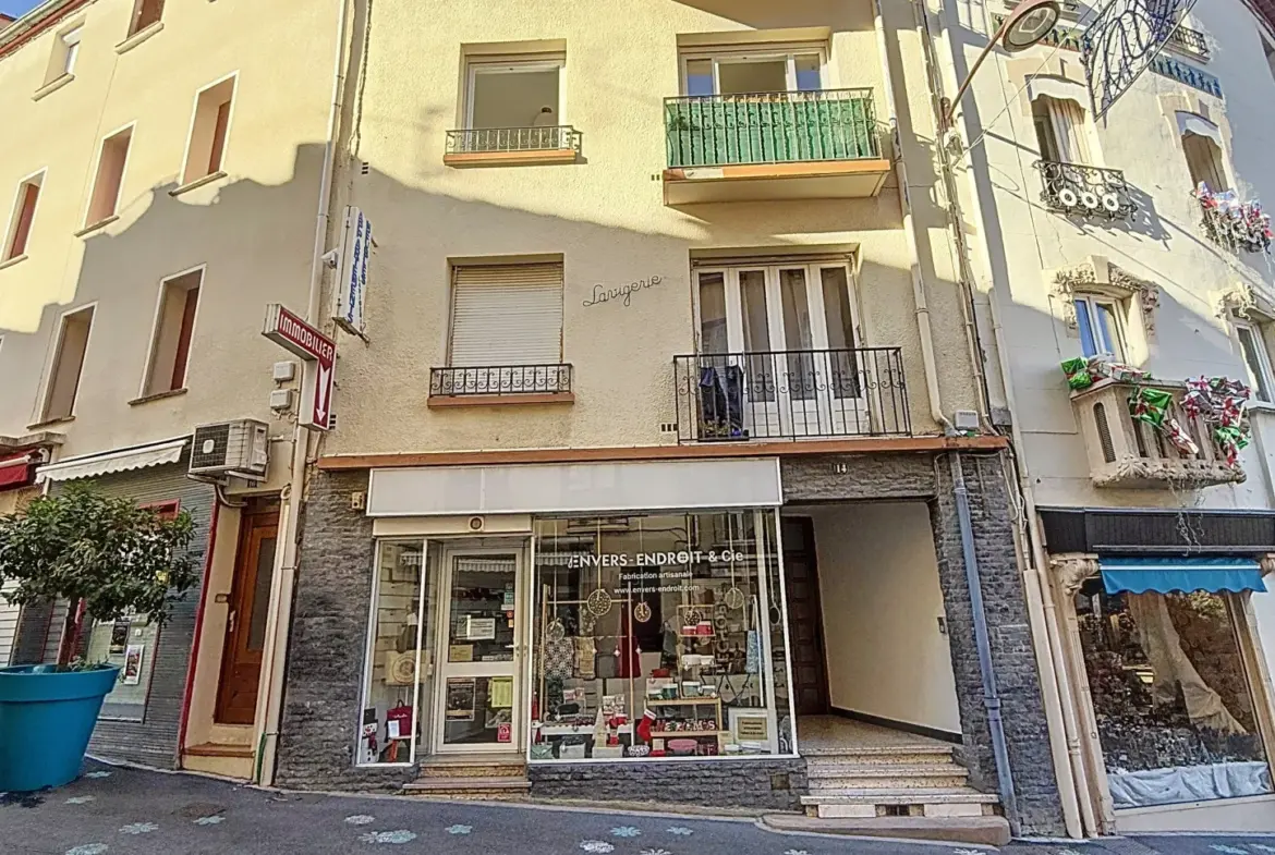 Appartement F2 Traversant avec Balcon à Amélie-les-Bains 