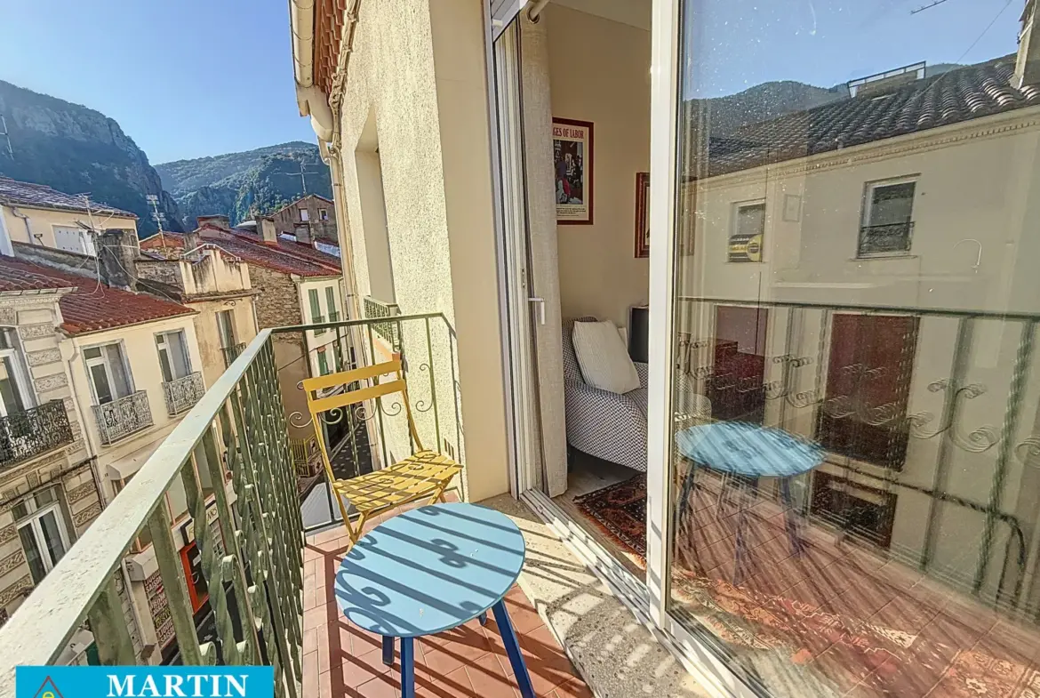 Appartement F2 Traversant avec Balcon à Amélie-les-Bains 