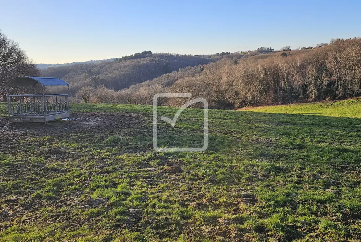 Terrain constructible de 1572 m² à Vignols avec vue dégagée 