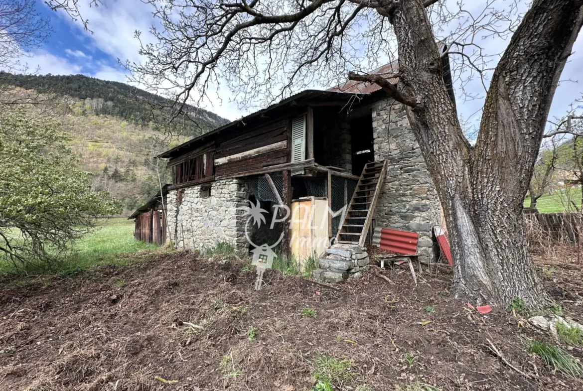 Bergerie à rénover avec terrain et vue montagne à Saint-Etienne-de-Tinée 