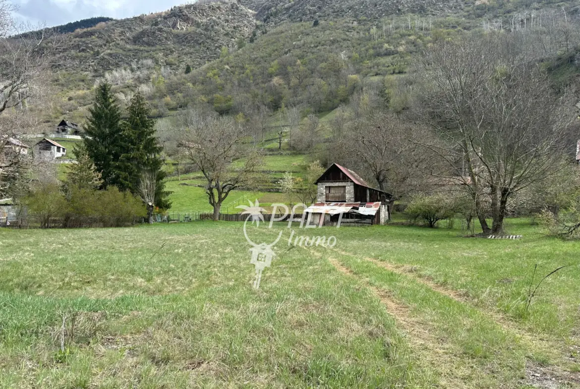 Bergerie à rénover avec terrain et vue montagne à Saint-Etienne-de-Tinée 