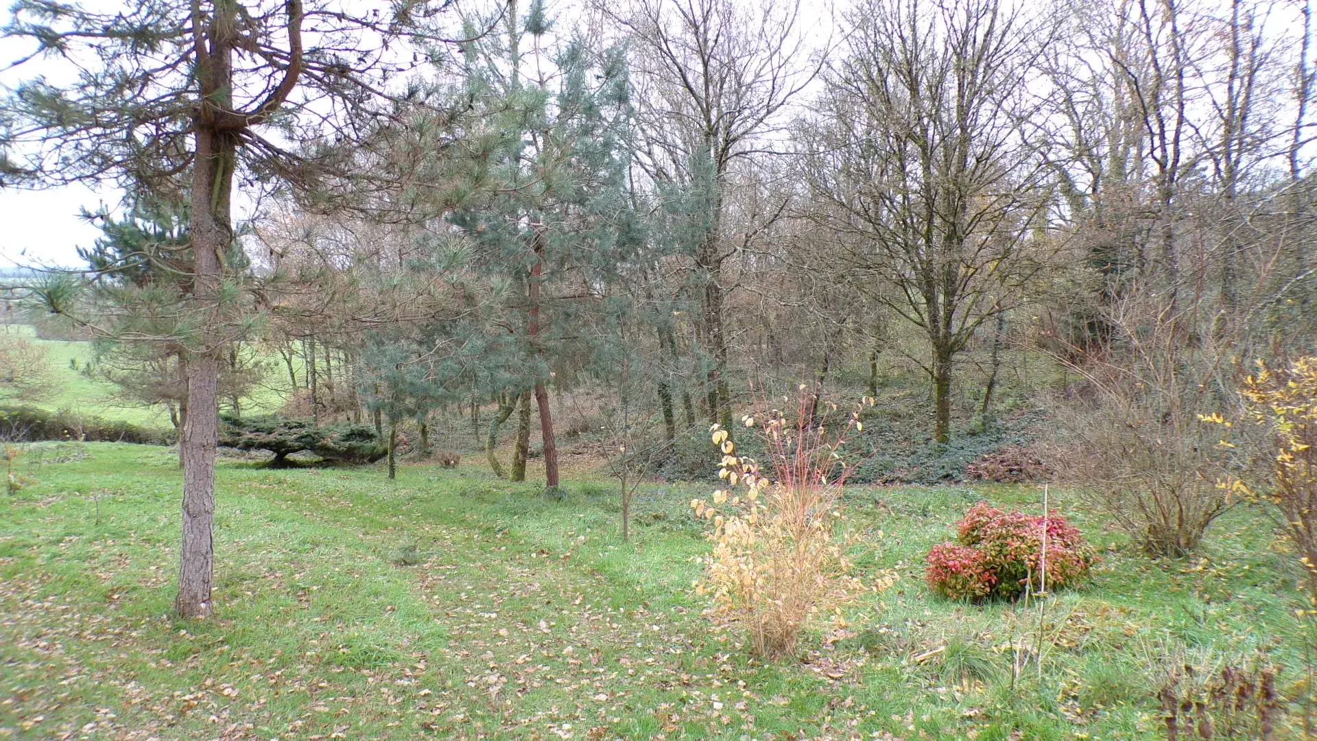 Charmant chalet en bois à Nérondes sur 1,23 hectare 