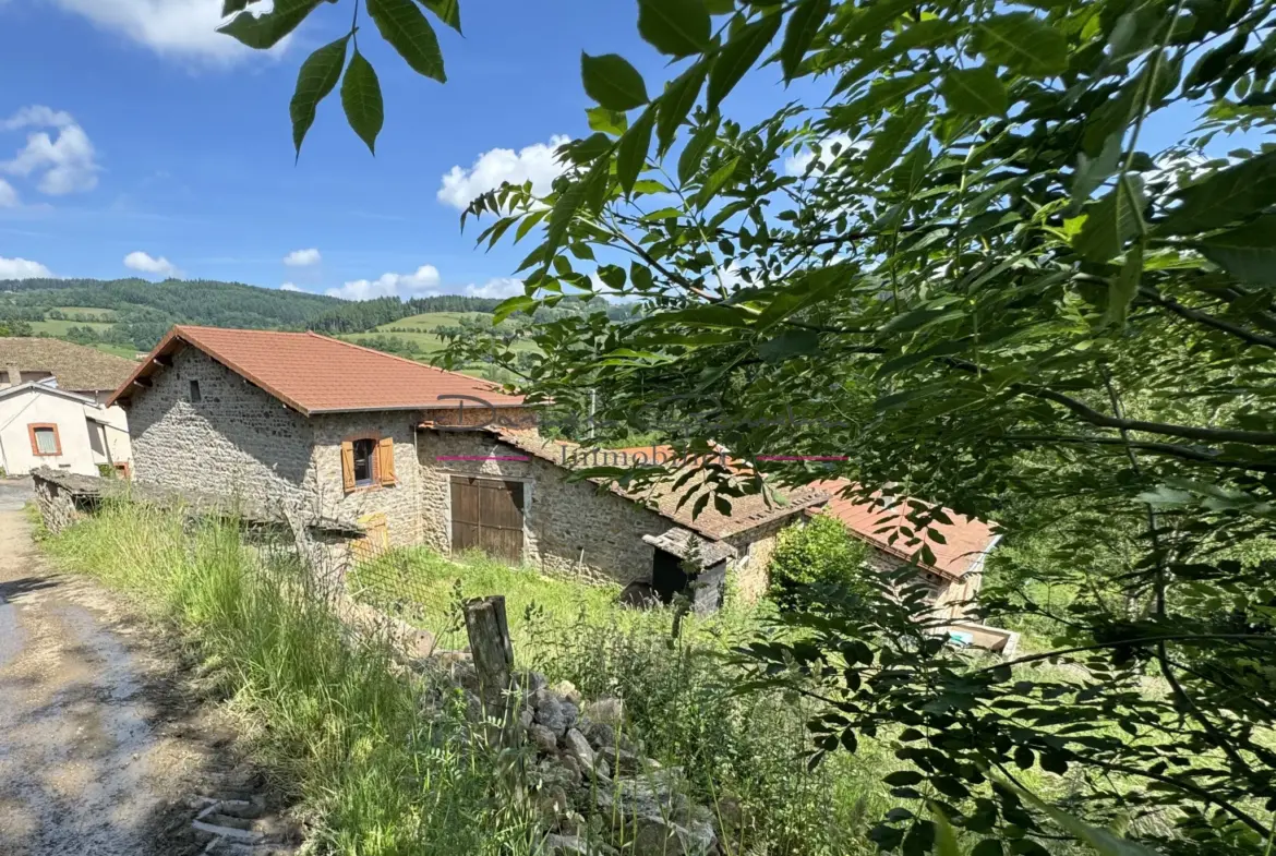 Maison de 2 plateaux à rénover à Thizy-les-Bourgs 