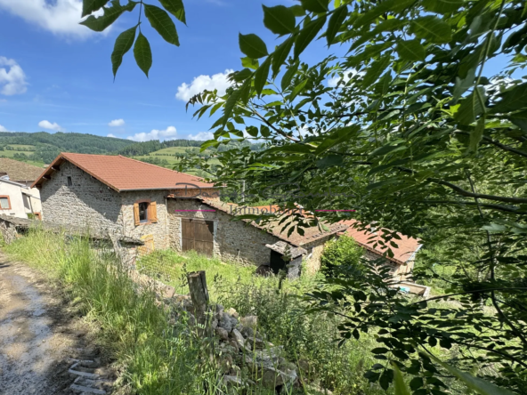 Maison de 2 plateaux à rénover à Thizy-les-Bourgs