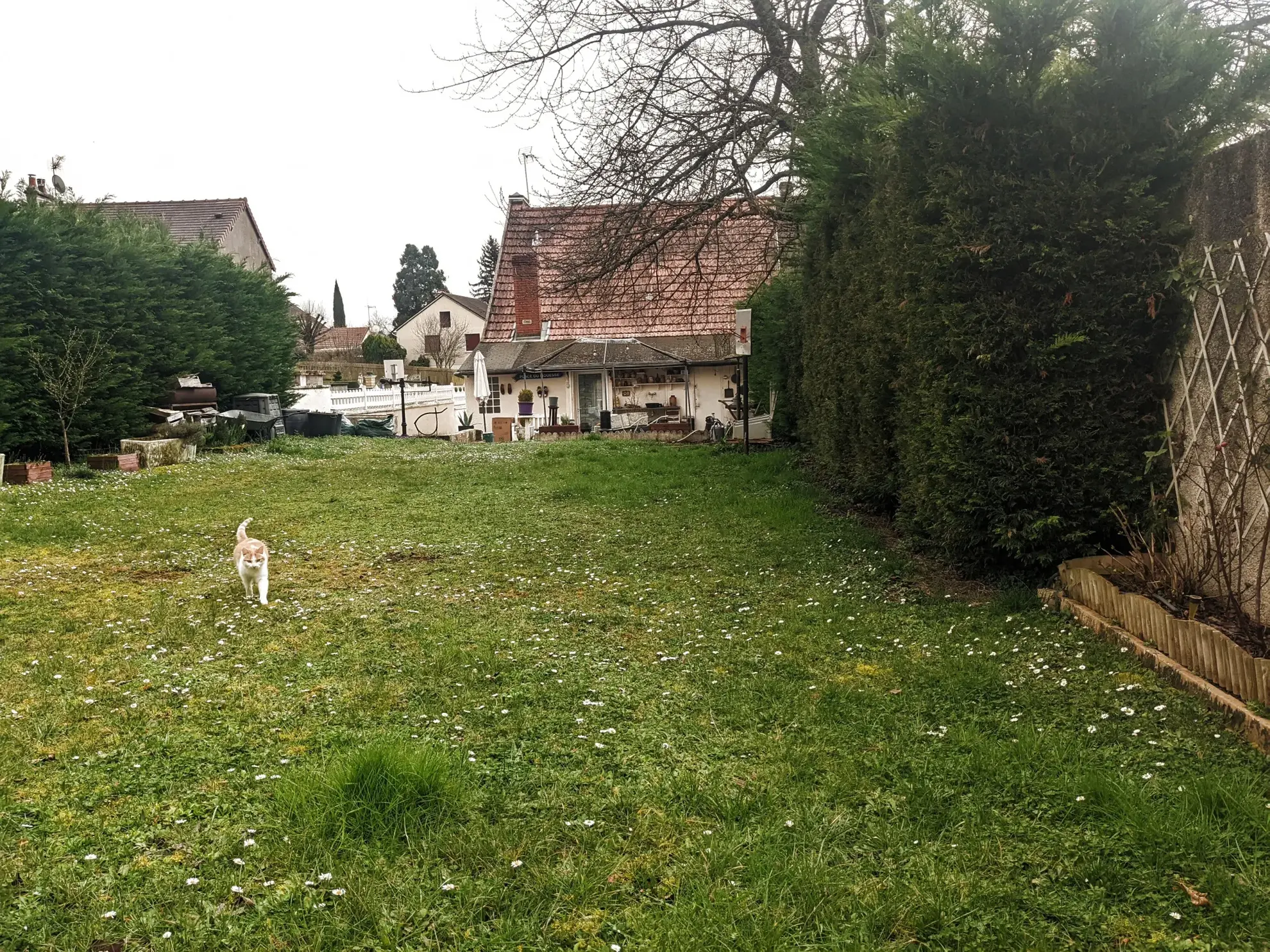 Viager Occupé Maison 5 Pièces à Nevers avec Jardin 