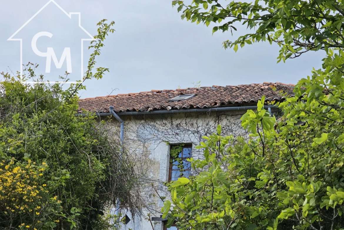 Charmante maison de 5 pièces avec jardin et garage à Saint-Séverin 